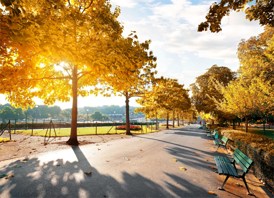 Kiến tạo không gian- Thăng hoa cảm xúc