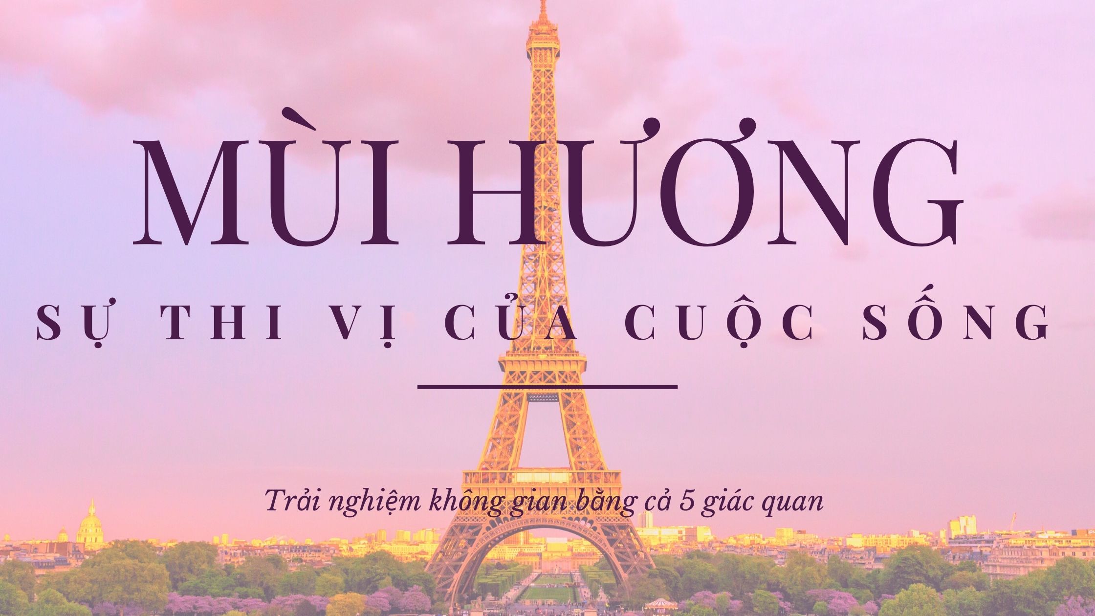 Ảnh bìa mùi hương- sự thi vị của cuộc sống